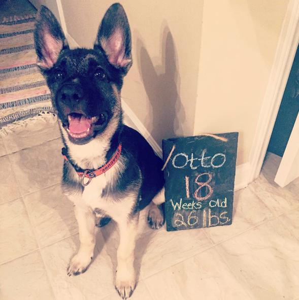 Screen Shot 2015-09-11 at 15.34.03