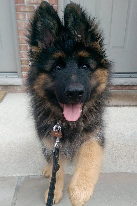 Screen Shot 2015-09-14 at 17.02.33