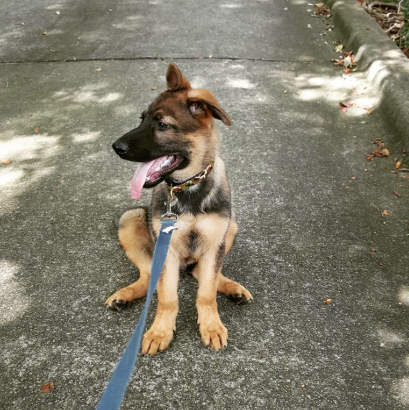 Screen Shot 2015-09-11 at 15.36.05