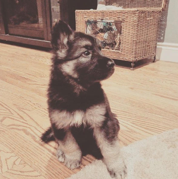 Screen Shot 2015-09-11 at 15.38.49