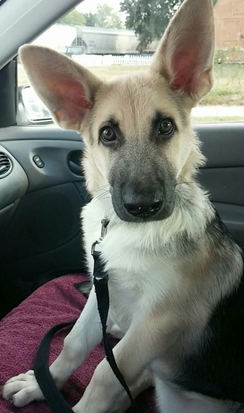 Screen Shot 2015-09-11 at 15.39.10