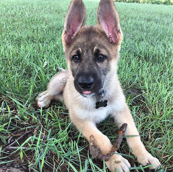 Screen Shot 2015-09-11 at 15.35.36