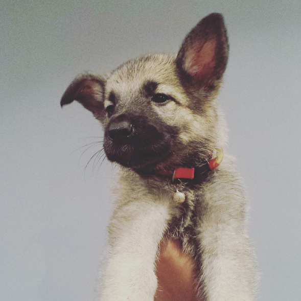 Screen Shot 2015-09-11 at 15.36.31