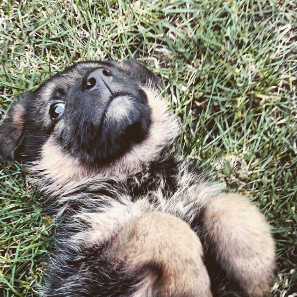 Screen Shot 2015-09-11 at 15.32.47