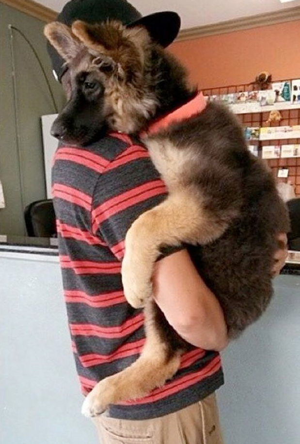 Screen Shot 2015-09-14 at 17.03.50