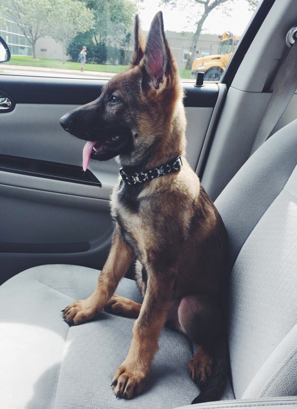 Screen Shot 2015-09-11 at 15.37.22