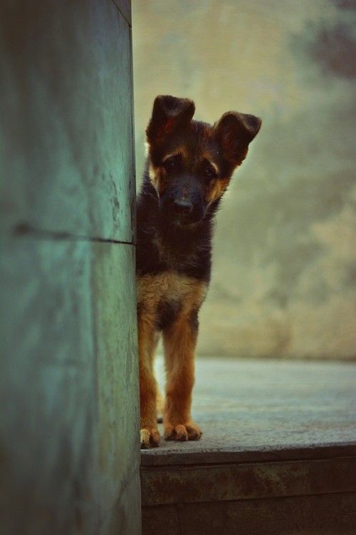 9610abb7665e9ab88a0b882b12bdcba4