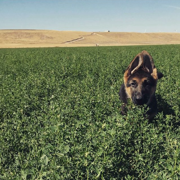 Screen Shot 2015-09-11 at 15.34.29