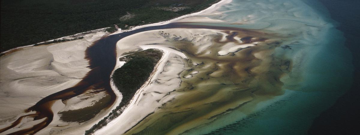 Melomys-rubicola-extinction-1