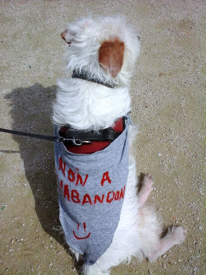 charity-walk-abandon-16