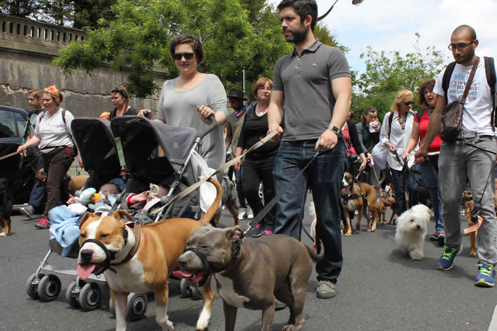 charity-walk-abandon-28