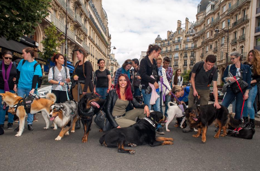 charity-walk-abandon-8