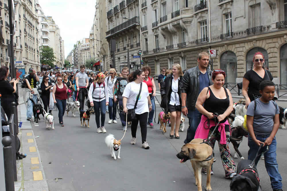 charity-walk-abandon-25