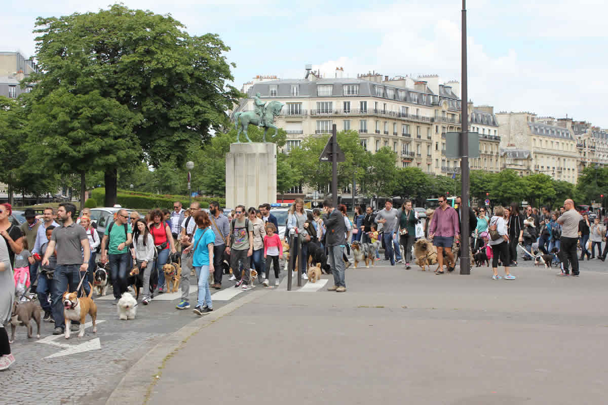 charity-walk-abandon-21