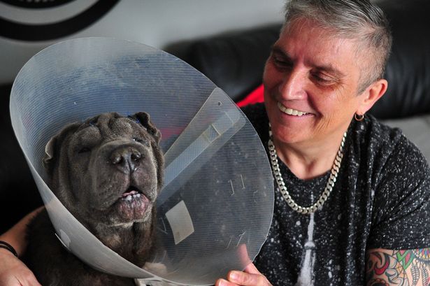 boo-machete-cambrioleurs-2