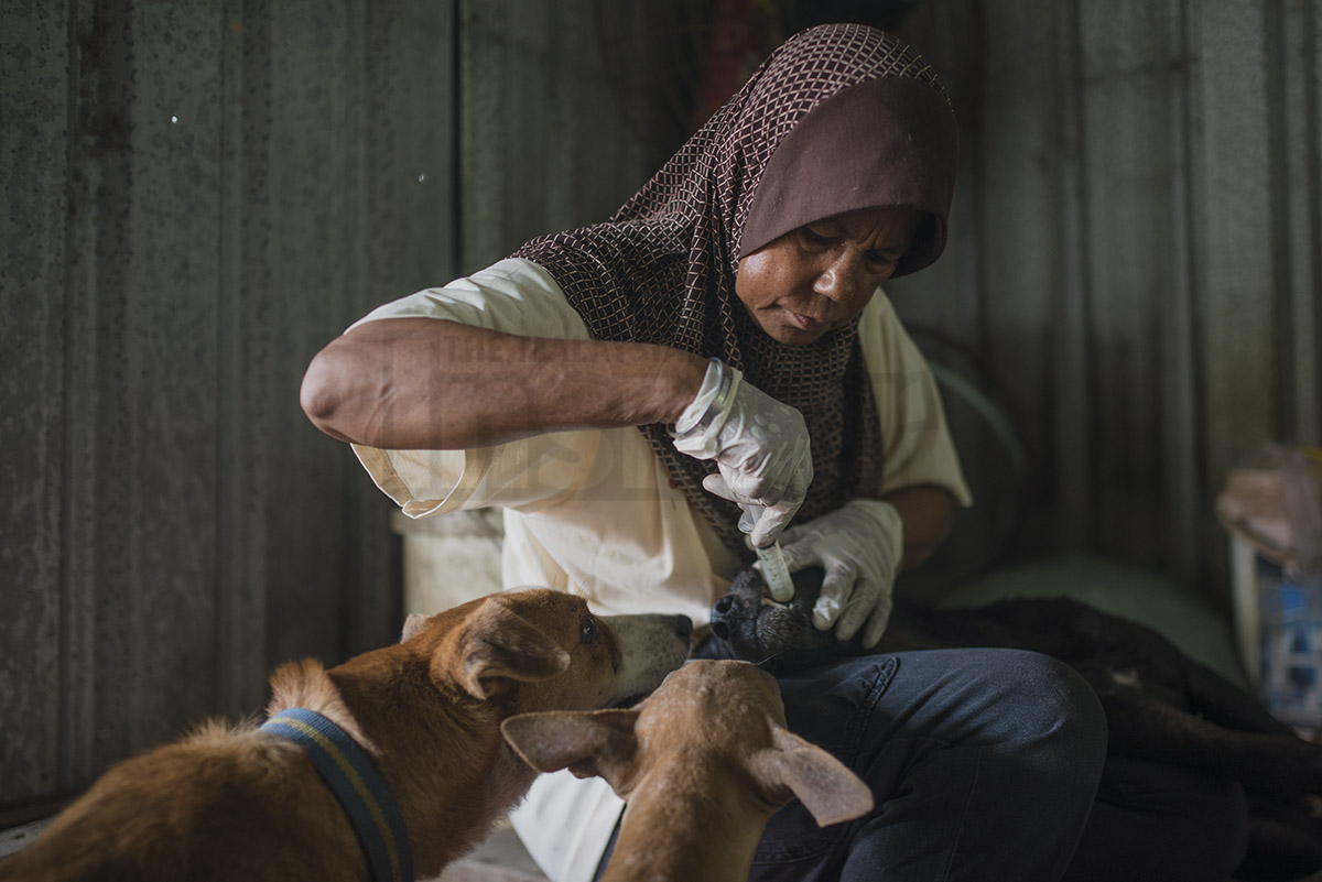 surmonter la mort de mon chien