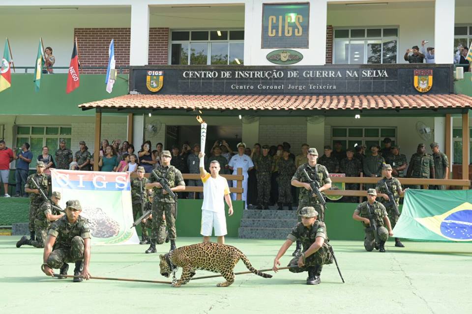 juma-jaguar-abattu-6