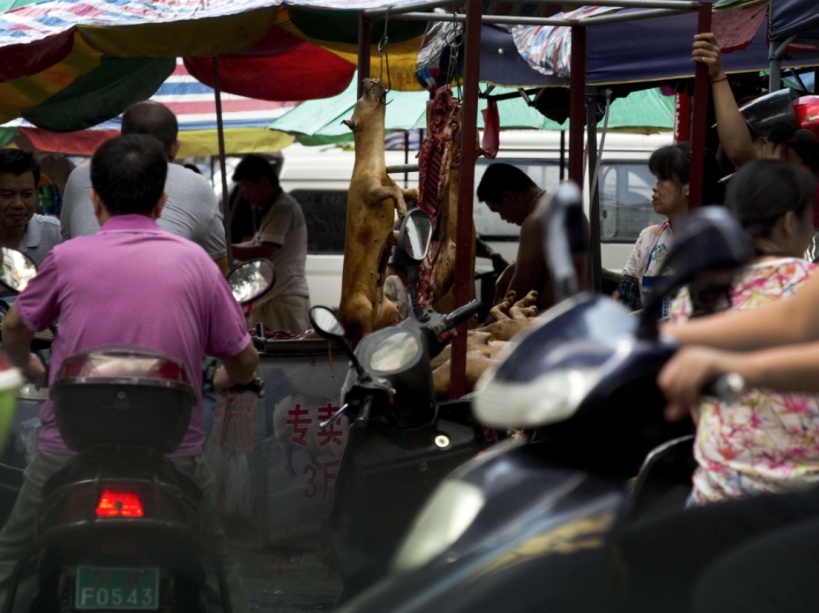 yulin-festival-dog-meat-8