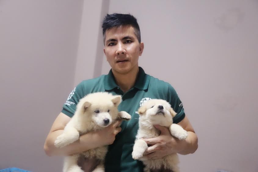 yulin-festival-dog-meat-32