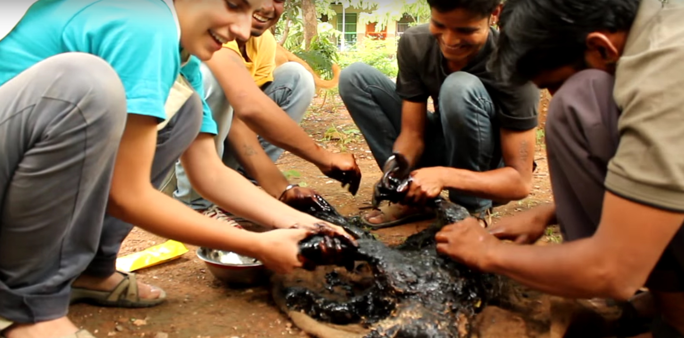 chien-goudron-sauvetage-inde-3