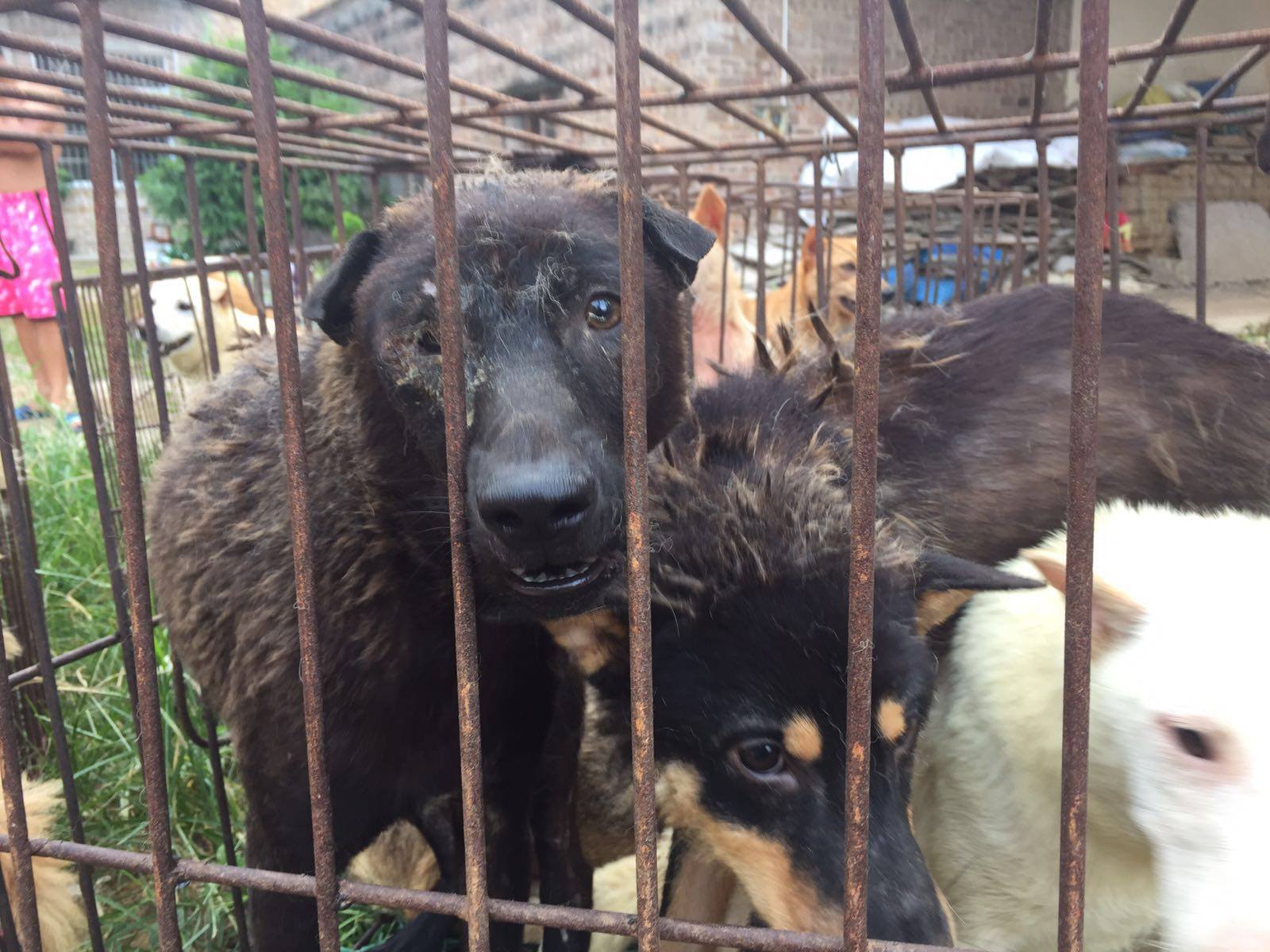 marcching-yullin-sauvetage-4