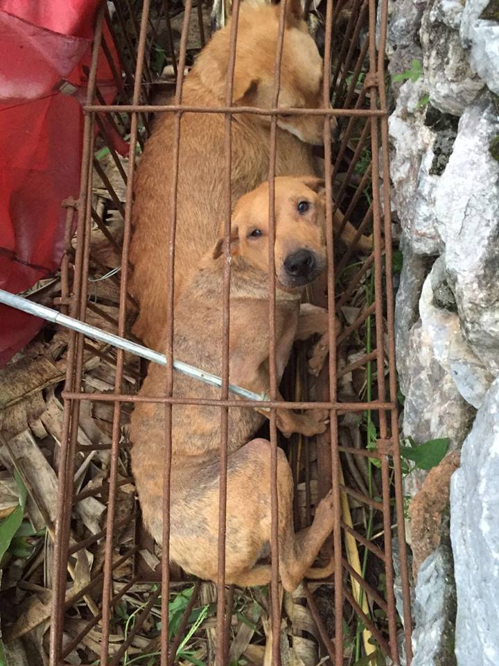 marcching-yullin-sauvetage-5