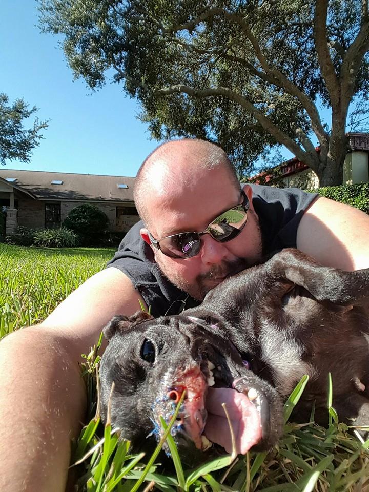 khalessi-pitbull-deces-4