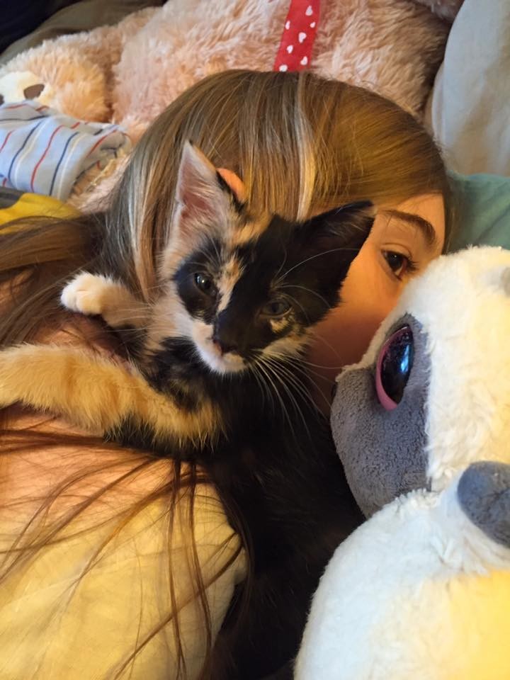 eboueur-sauve-chaton-12