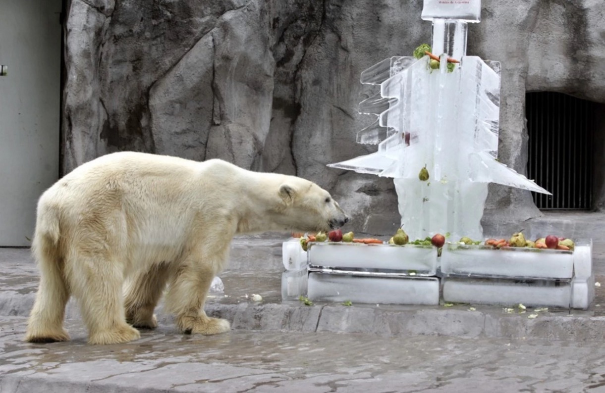 zoo-buenos-aires-fermeture-12