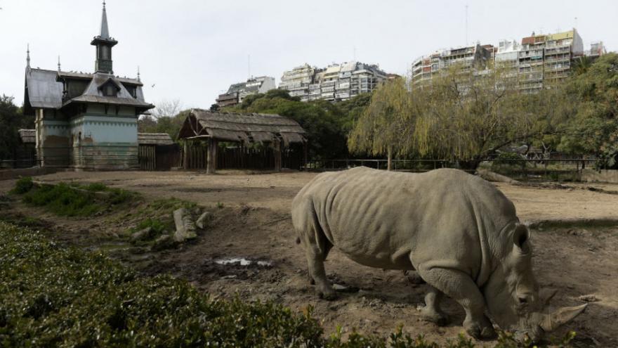 zoo-buenos-aires-fermeture-1