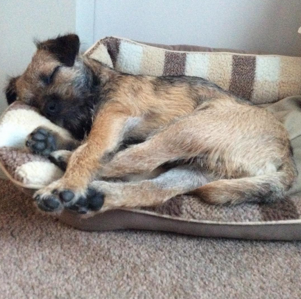 Screen Shot 2015-10-09 at 01.29.21