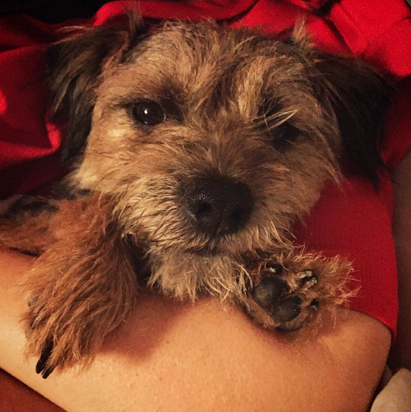 Screen Shot 2015-10-09 at 01.04.05