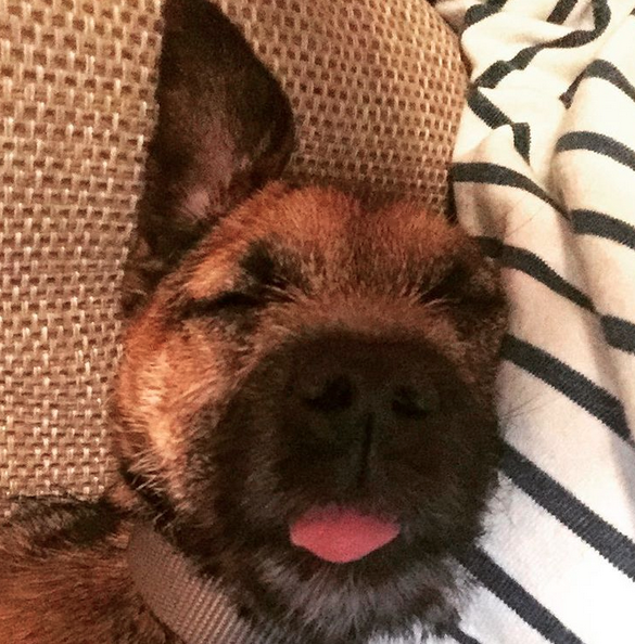 Screen Shot 2015-10-09 at 01.12.28