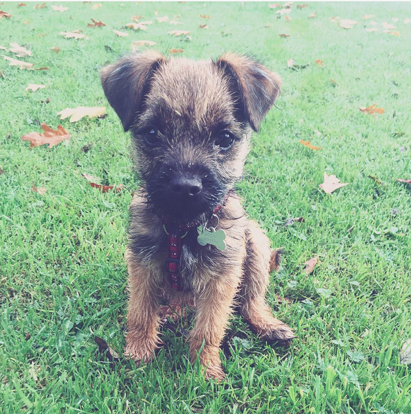 Screen Shot 2015-10-09 at 01.26.23