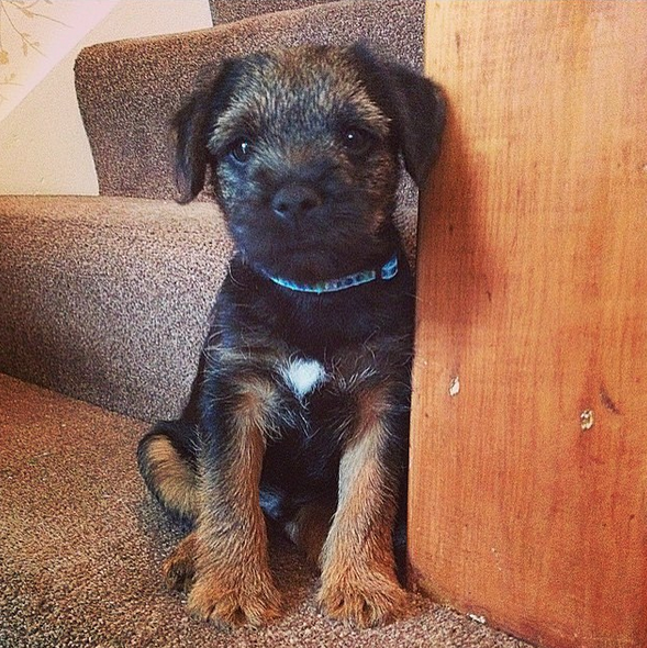 Screen Shot 2015-10-09 at 01.09.06