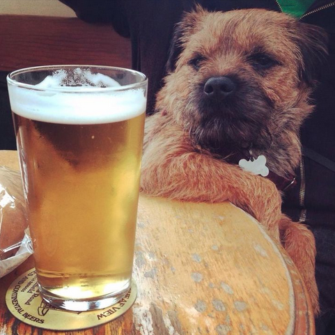 Screen Shot 2015-10-09 at 01.23.05