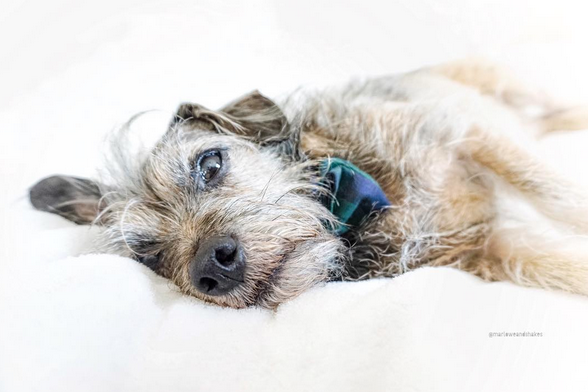 Screen Shot 2015-10-09 at 01.05.22