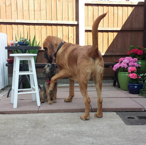 Screen Shot 2015-10-09 at 01.06.32