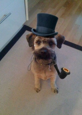 Screen Shot 2015-10-09 at 01.22.43