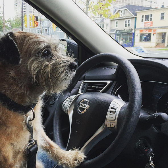 Screen Shot 2015-10-09 at 01.08.20