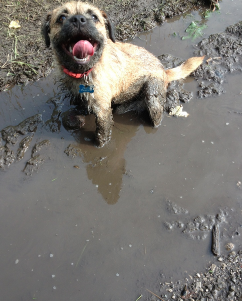 Screen Shot 2015-10-09 at 01.11.10