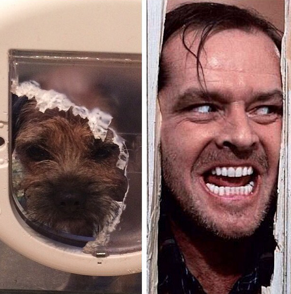 Screen Shot 2015-10-09 at 01.25.52