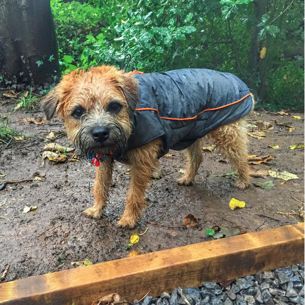 Screen Shot 2015-10-09 at 01.13.13