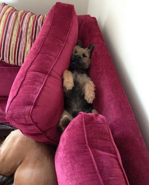 Screen Shot 2015-10-09 at 01.18.32