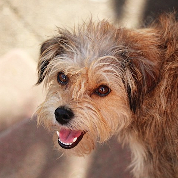 Screen Shot 2015-10-09 at 01.06.01