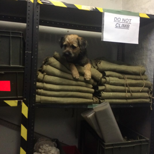 Screen Shot 2015-10-09 at 01.28.29