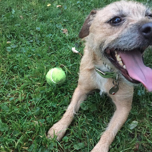 Screen Shot 2015-10-09 at 01.07.09