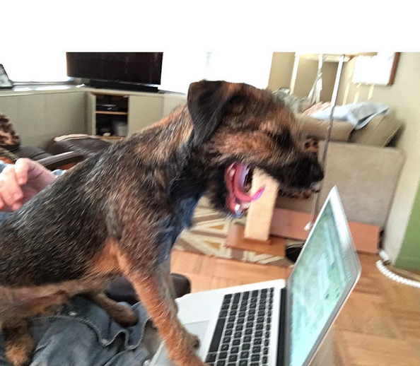 Screen Shot 2015-10-09 at 01.09.42