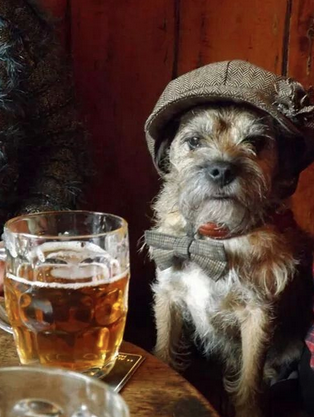 Screen Shot 2015-10-09 at 01.23.42