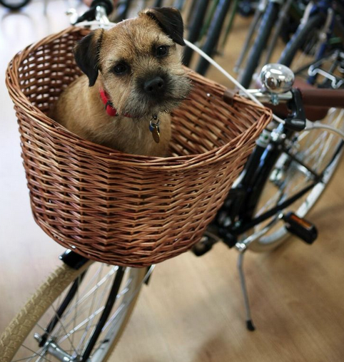 Screen Shot 2015-10-09 at 01.11.49